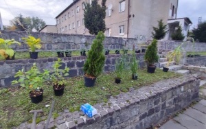 Zielone schody na Osiedlu Bagno  (17)