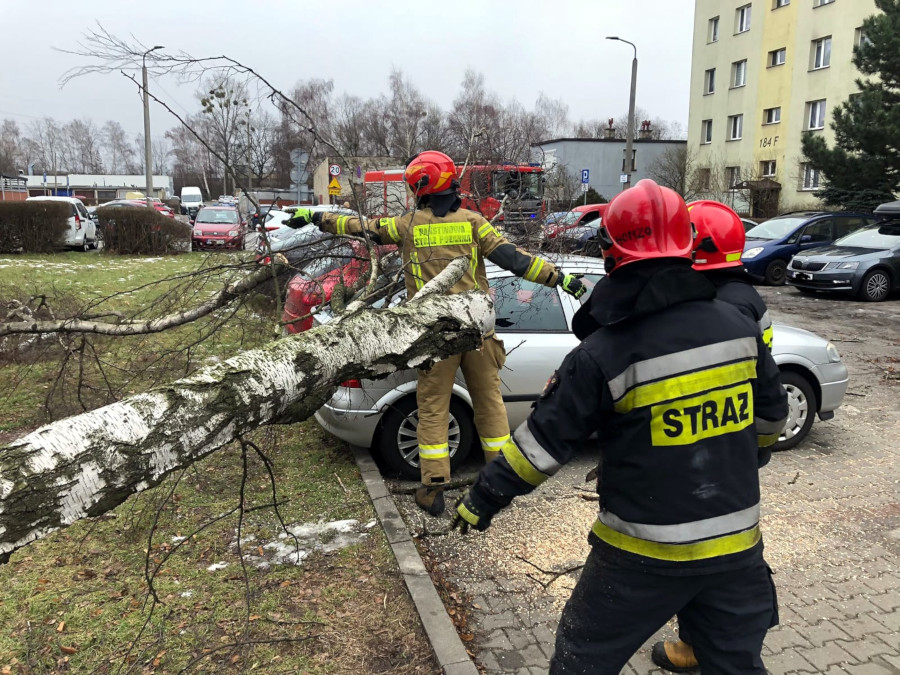 Fot. Komenda Powiatowa i Miejska PSP w woj. śląskim