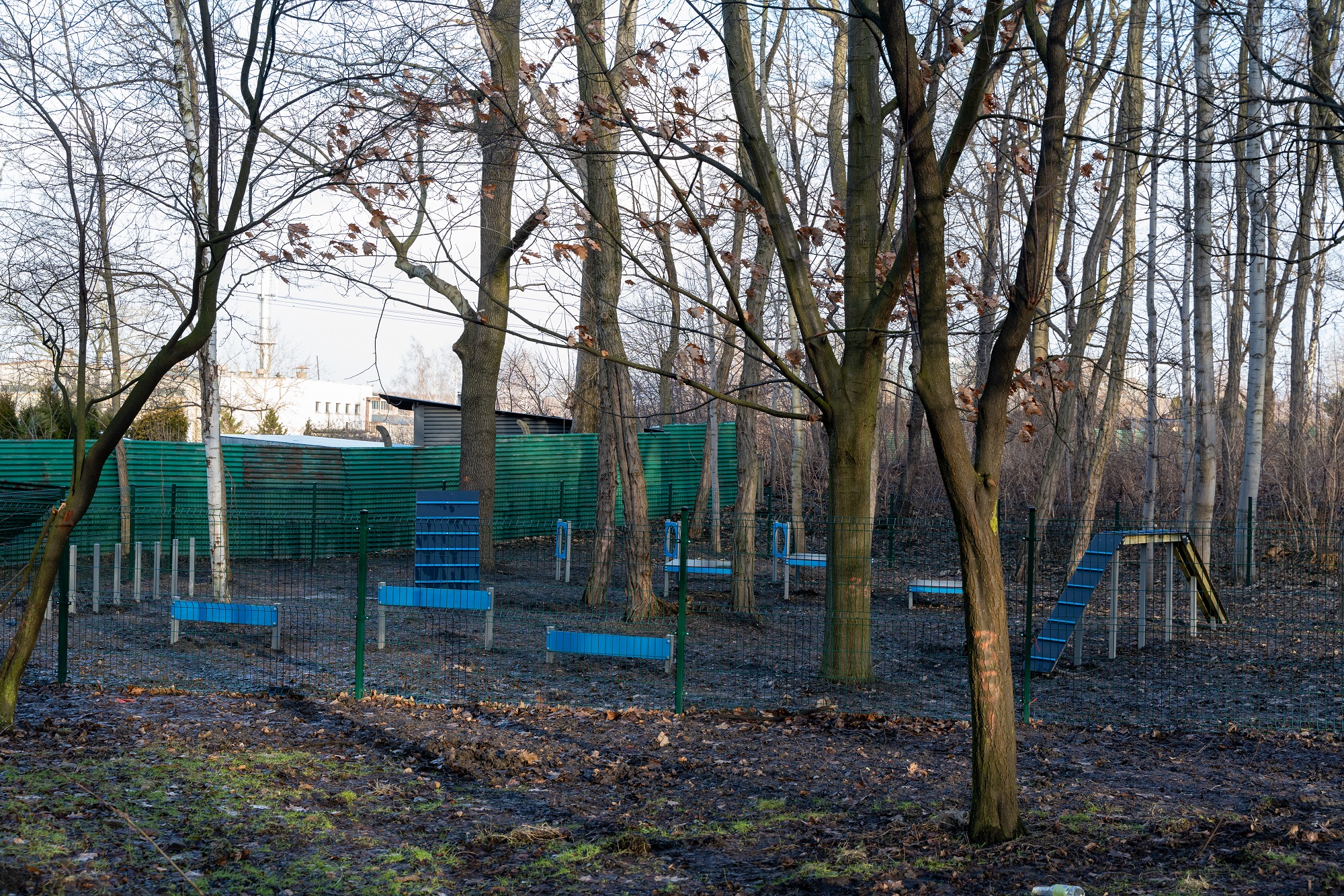 Wybieg dla psów w Parku Wełnowieckim