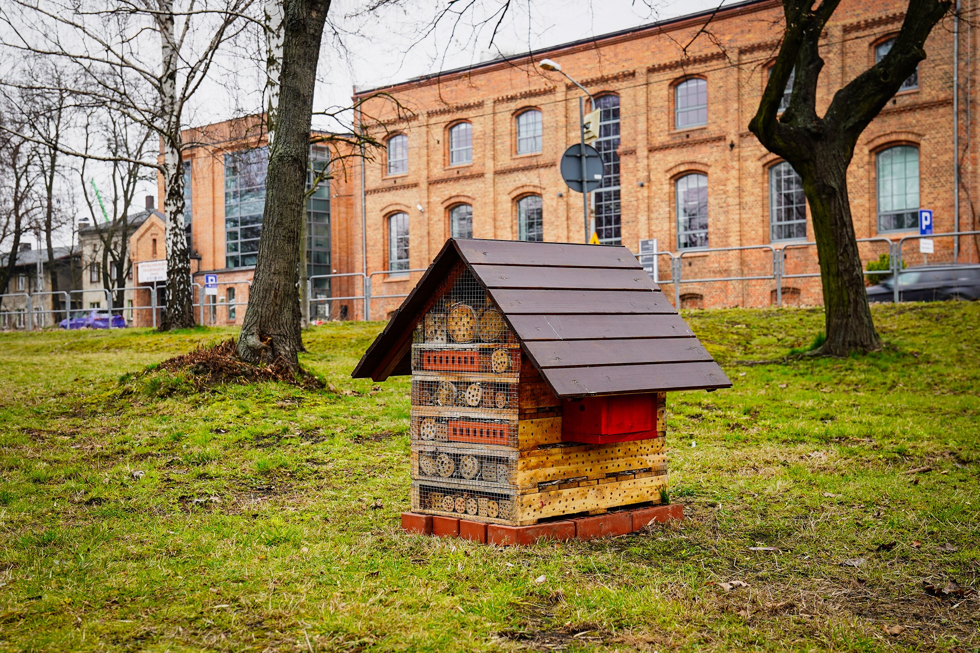 Domek dla owadów w Katowicach