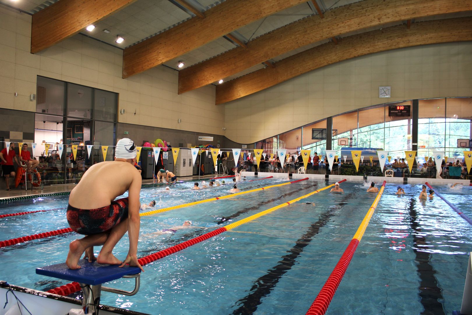 Mistrzostwa Katowic w pływaniu na basenie
