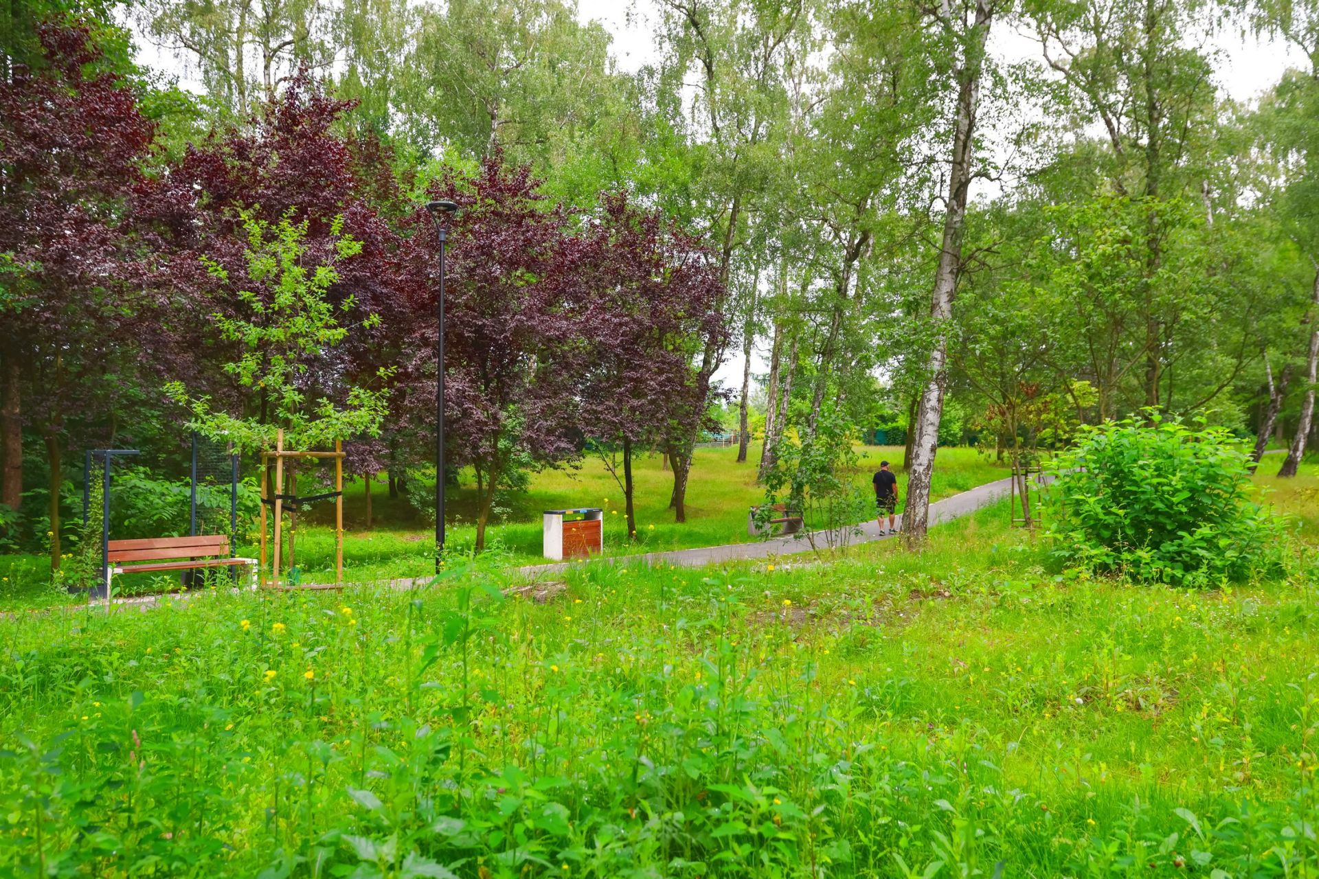 park wełnowiecki w katowicach