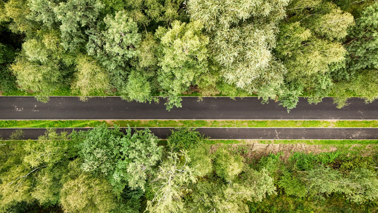 Velostrada wśród drzew sfotografowana z góry