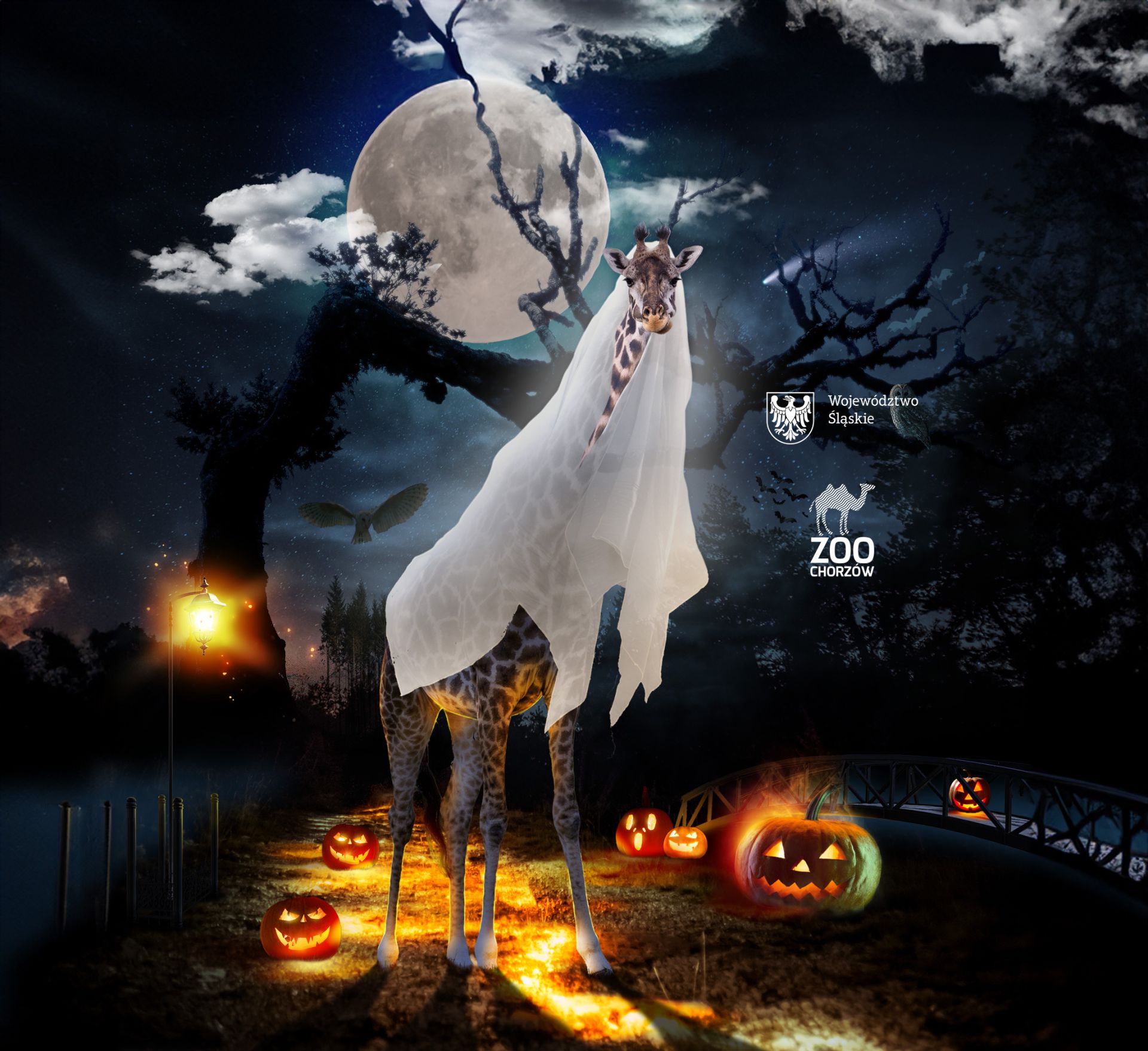 halloween w śląskim zoo żyrafa z welonem