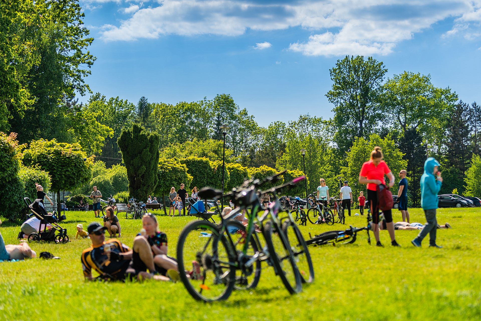 rowerzyści na trawie na dolinie trzech stawów w katowicach