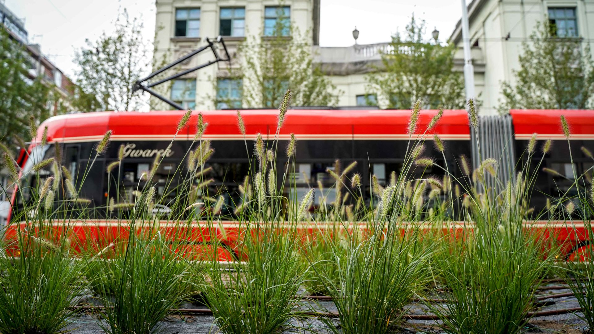 tramwaje katowice rozkład jazdy