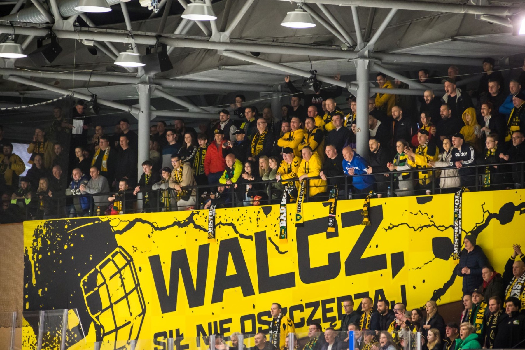 kibice gks katowice